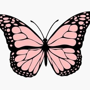 Meet your Posher, Tayler